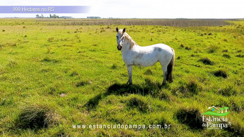 12. Levanta Velho.00_03_51_15.Quadro052_05d4efda962fee0180156c9ce087dff3ac19853b.jpg